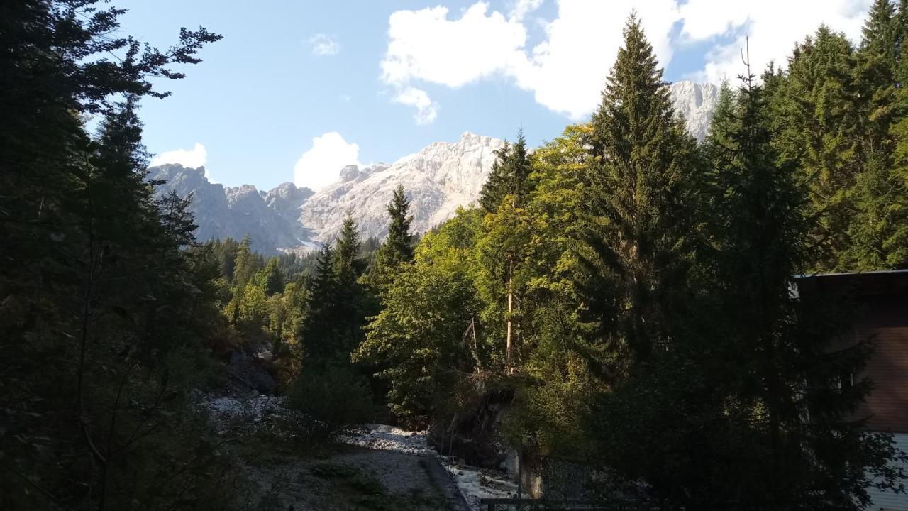 Appartmenthaus Hochkoenig Mühlbach am Hochkönig Exteriör bild