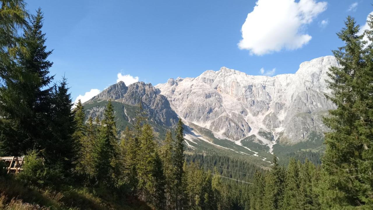 Appartmenthaus Hochkoenig Mühlbach am Hochkönig Exteriör bild
