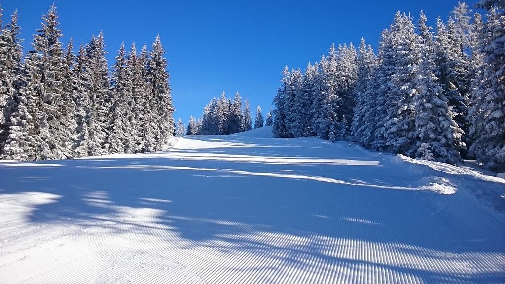 Appartmenthaus Hochkoenig Mühlbach am Hochkönig Exteriör bild