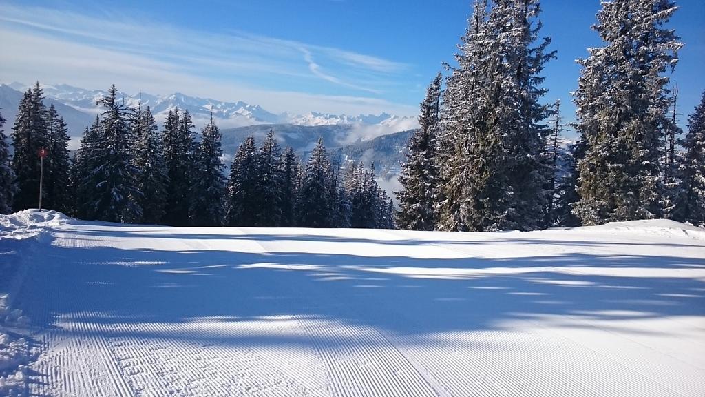 Appartmenthaus Hochkoenig Mühlbach am Hochkönig Exteriör bild