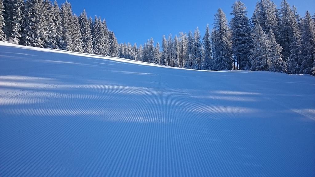 Appartmenthaus Hochkoenig Mühlbach am Hochkönig Exteriör bild