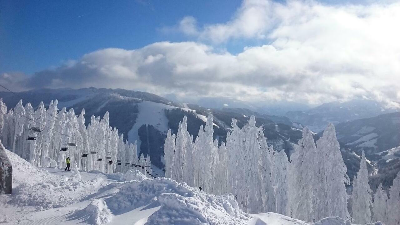 Appartmenthaus Hochkoenig Mühlbach am Hochkönig Exteriör bild