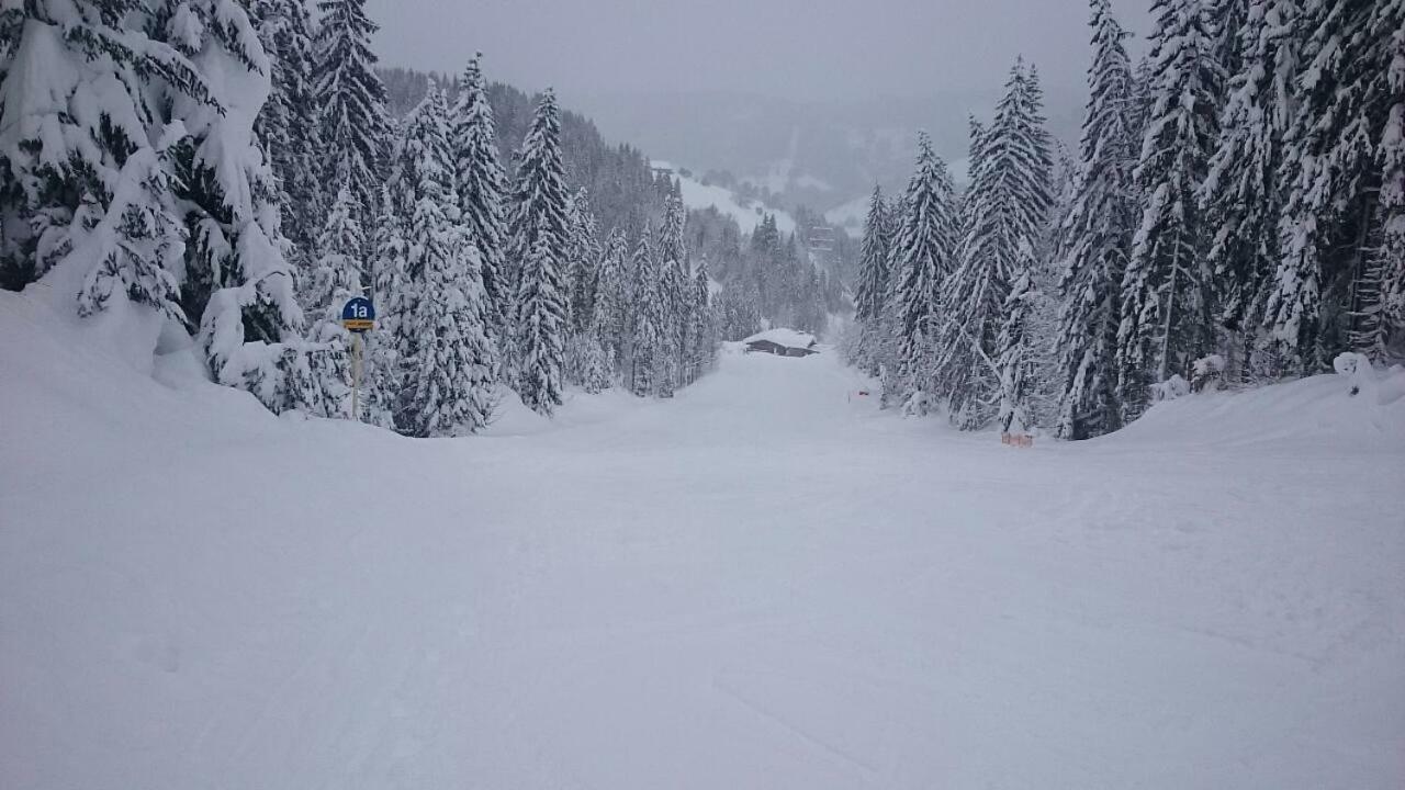 Appartmenthaus Hochkoenig Mühlbach am Hochkönig Exteriör bild